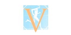 VIDICOM TV Logo Color